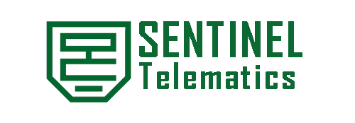 27371-Sentinel Security Consultants